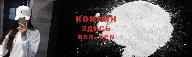 Cocaine Fish Scale Котлас