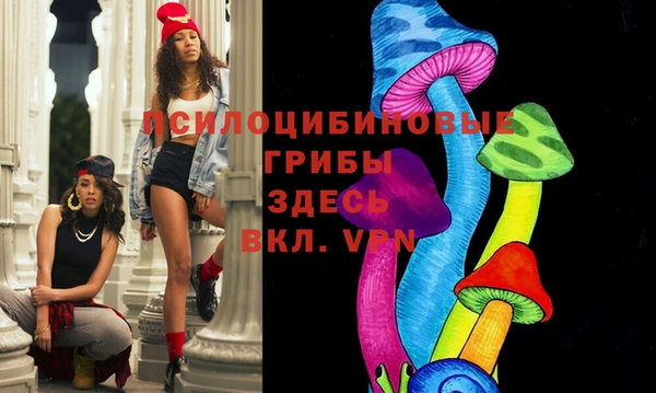 дмт Новодвинск