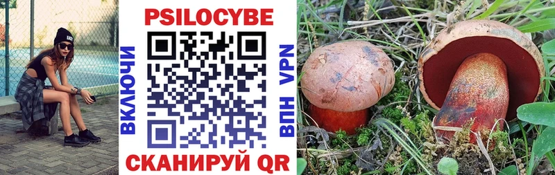 Галлюциногенные грибы ЛСД  Котлас 