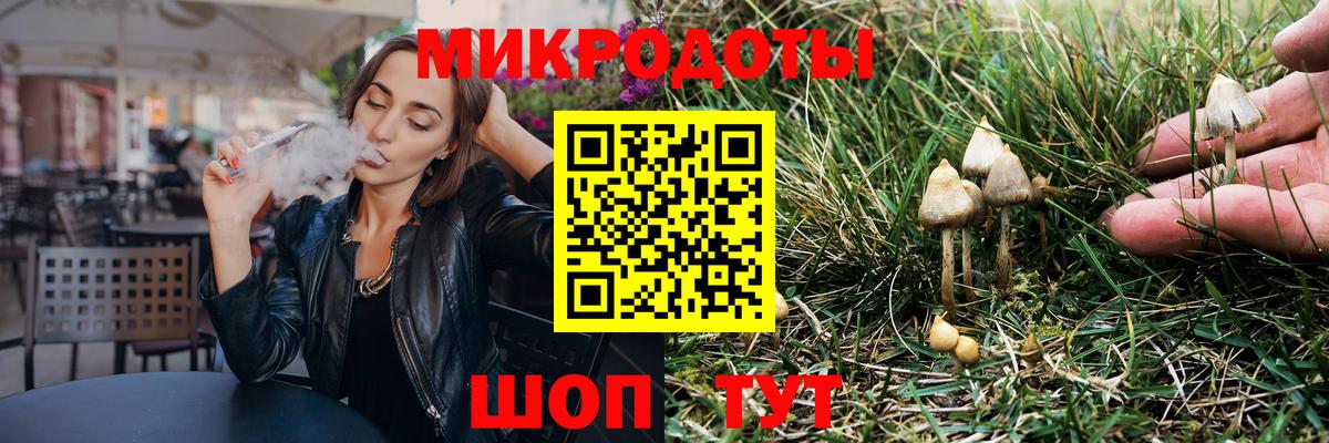 Котлас  Галлюциногенные грибы прущие грибы  Вход с VPN 